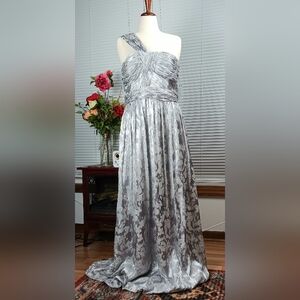 Velvet Burnout Dress Size  Womens 14W Fairycore Gown Silver Metallic Holiday NWT